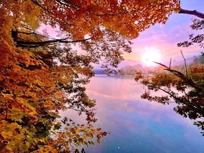 A serene lake with autumn foliage framing the view.
