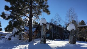 A snow-covered landscape with a wooden cabin and a large pine tree. - Time for hiking, fishing, boating  or just relaxing!  A great CO experience! (Pagosa Springs)