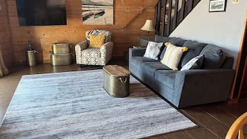 Smart TV, fireplace, books, video library