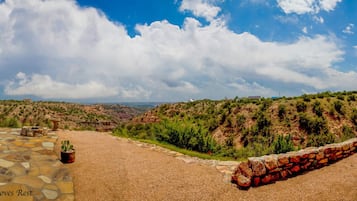 Vista desde la propiedad