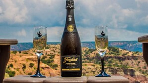Eine Flasche Freixenet Cordon Negro Brut Wein und zwei Gläser auf einem Holztisch mit Aussicht.