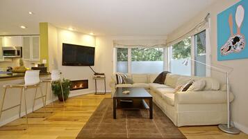 Smart TV, fireplace, DVD player, music library