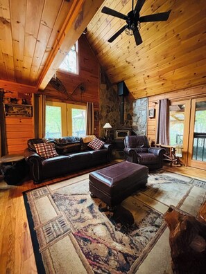 スマートテレビ、暖炉、DVD プレーヤー