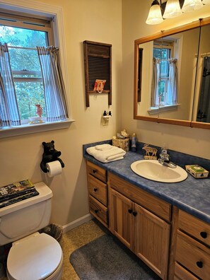 Ein Badezimmer mit Toilette, Waschbecken und Waschtisch. Ein Fenster mit Vorhängen, ein Spiegel und ein Handtuchhalter sind vorhanden.