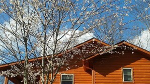 Una cabaña de madera con un porche y un árbol cubierto de flores blancas al frente.