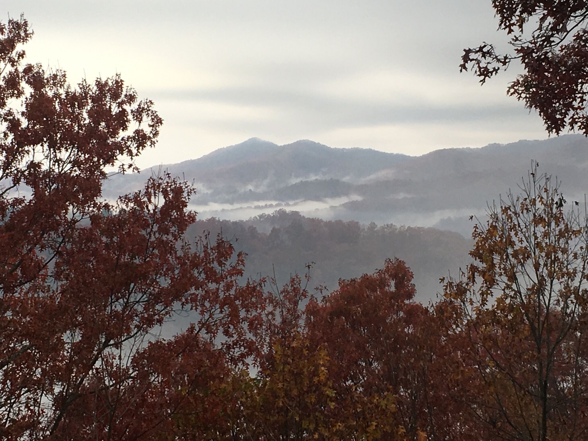 Late fall view from the porch