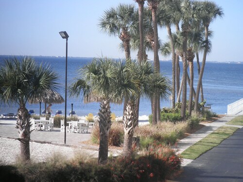 Waterfront Condo -Tampa / Clearwater, FL - WiFi, Möbliert, Strände, Beste Preise