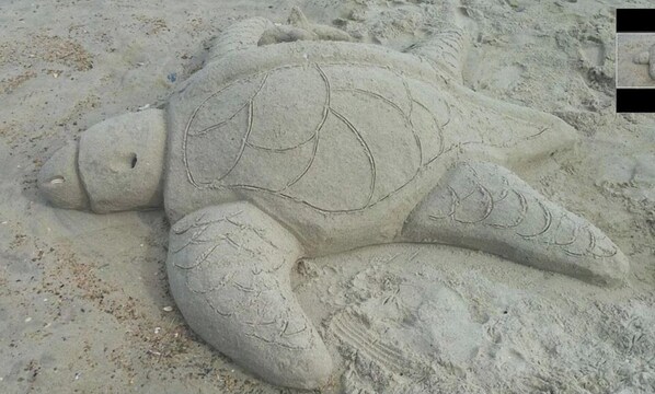A sand sculpture of a turtle. - Oceanfront property (Duck)