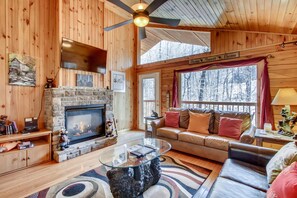 TV connectée, cheminée, médiathèque, chaîne hi-fi