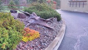 A landscaped garden with a large tree trunk, various shrubs, and a stone pathway.
