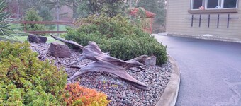 Bird Lover’s Paradise