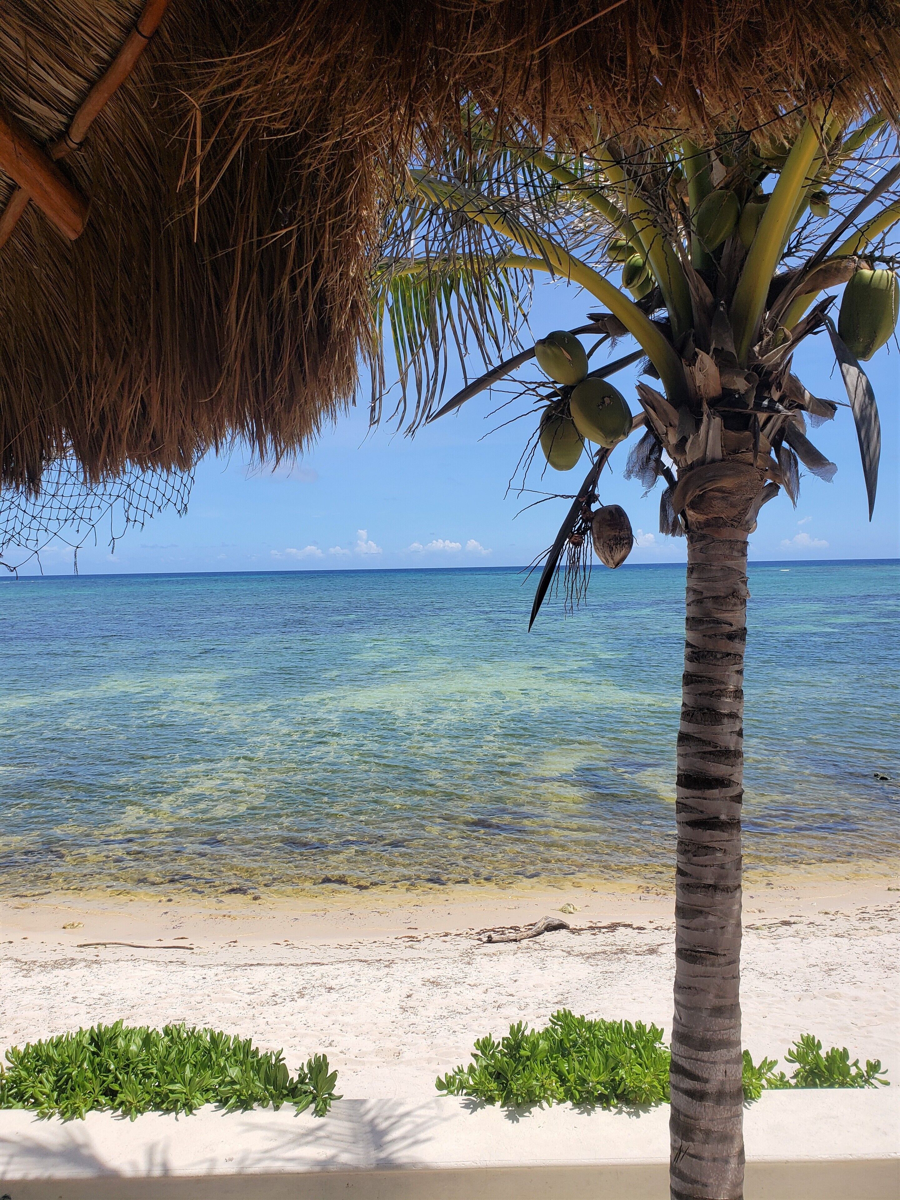 Ubicación a pie de playa, tumbonas y toallas de playa
