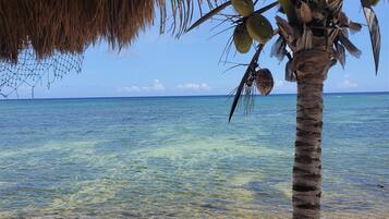 Plage, chaises longues, serviettes de plage
