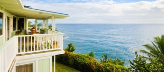 Stunning, majestic, oceanfront location, with an unmatched view. Hilo 2 miles.