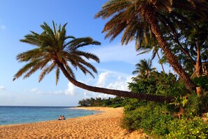Beach nearby, sun loungers, beach towels