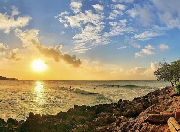 ビーチの近く、サンラウンジャー、ビーチタオル