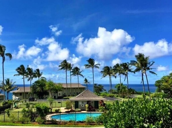 Un complexe hôtelier doté d’une piscine, de palmiers et offrant une vue sur l’océan.