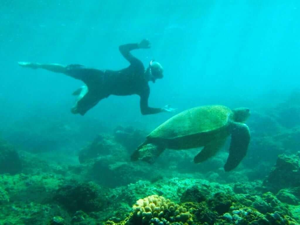 Un plongeur nageant aux côtés d’une tortue de mer dans une eau cristalline.