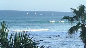 A coastal view with palm trees and the ocean. - BRAND NEW Remodel & BEST Oceanfront BEACH/SURF Location In Cabo!!! (San José del Cabo)