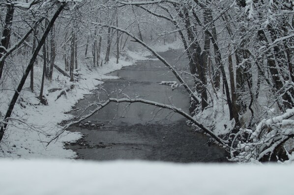 A snow-covered path flanked by trees in a forest setting.