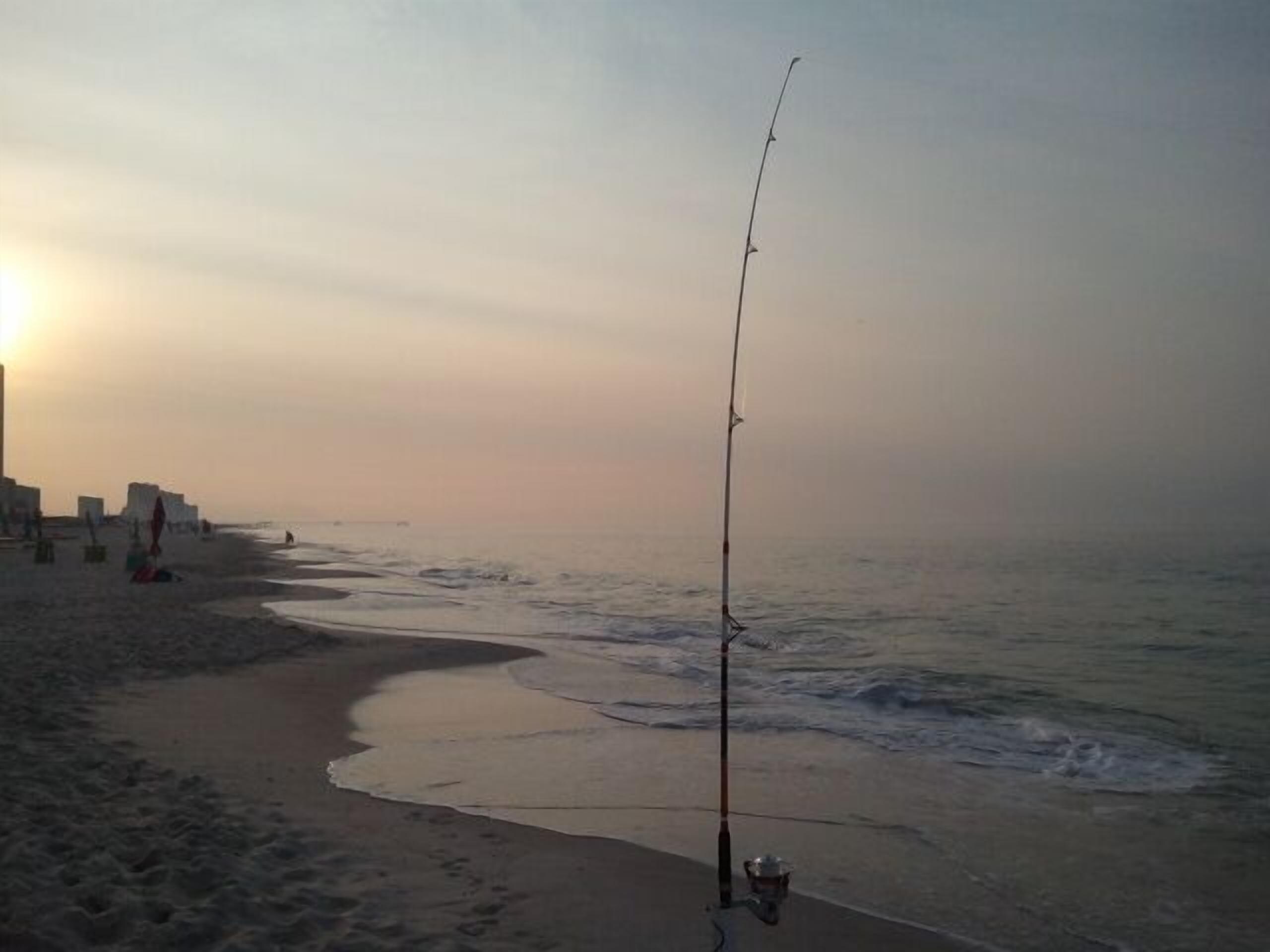 Una platja amb una vara de pescar i un cubet, probablement per a esquets, a la vora de l'aigua.