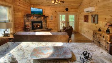 Smart TV, fireplace, DVD player, video library