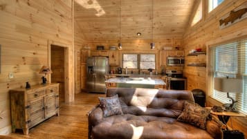 Smart TV, fireplace, DVD player, video library