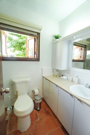 Combined shower/bathtub, hair dryer, towels, soap