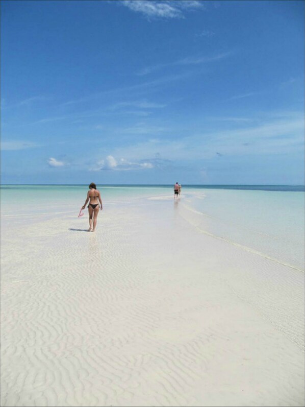 Enjoy a serene beach experience with expansive sand and calm waters.