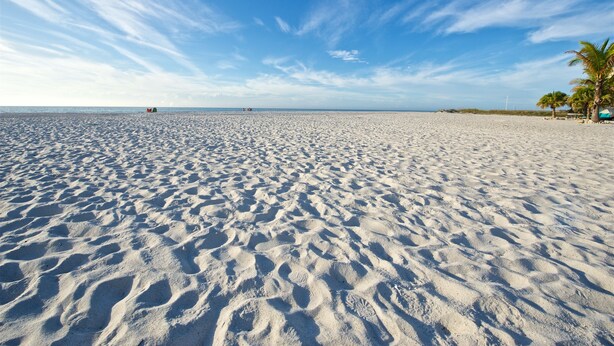 A wide sandy beach with footprints, palm trees, and a distant red boat. - Beautiful Clearwater Beach Home just across from the Beach - Drive to your door. (Clearwater Beach)