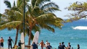 En strand med folk och surfbrädor, palmer och vågor som rullar in mot land.