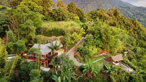 Uma paisagem verdejante e exuberante, com uma construção de telhado de palha, cercada por vegetação densa e um cenário montanhoso.
