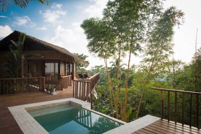 Award-Winning Eco-Luxury Retreat | Panoramic Jungle and Ocean Views
