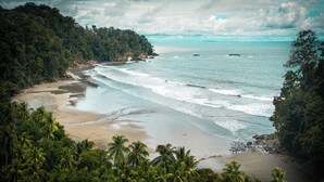 Uma praia com palmeiras, areal e vista para o oceano.