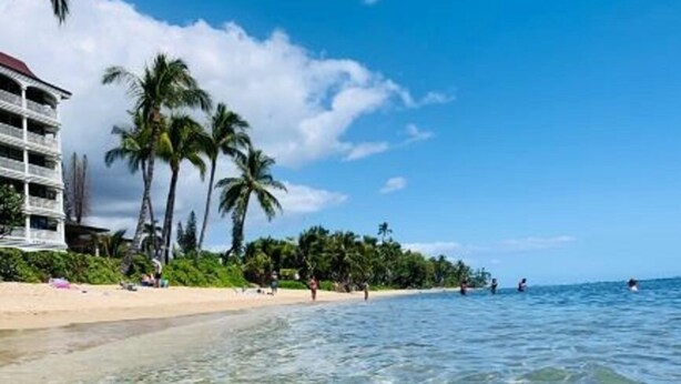 Una playa con agua cristalina, palmeras y un edificio con varios balcones.