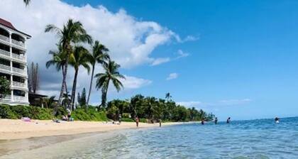 DIRECT OCEANFRONT 6. LUONNAN LYHYESTI OCEAN-ALUEET