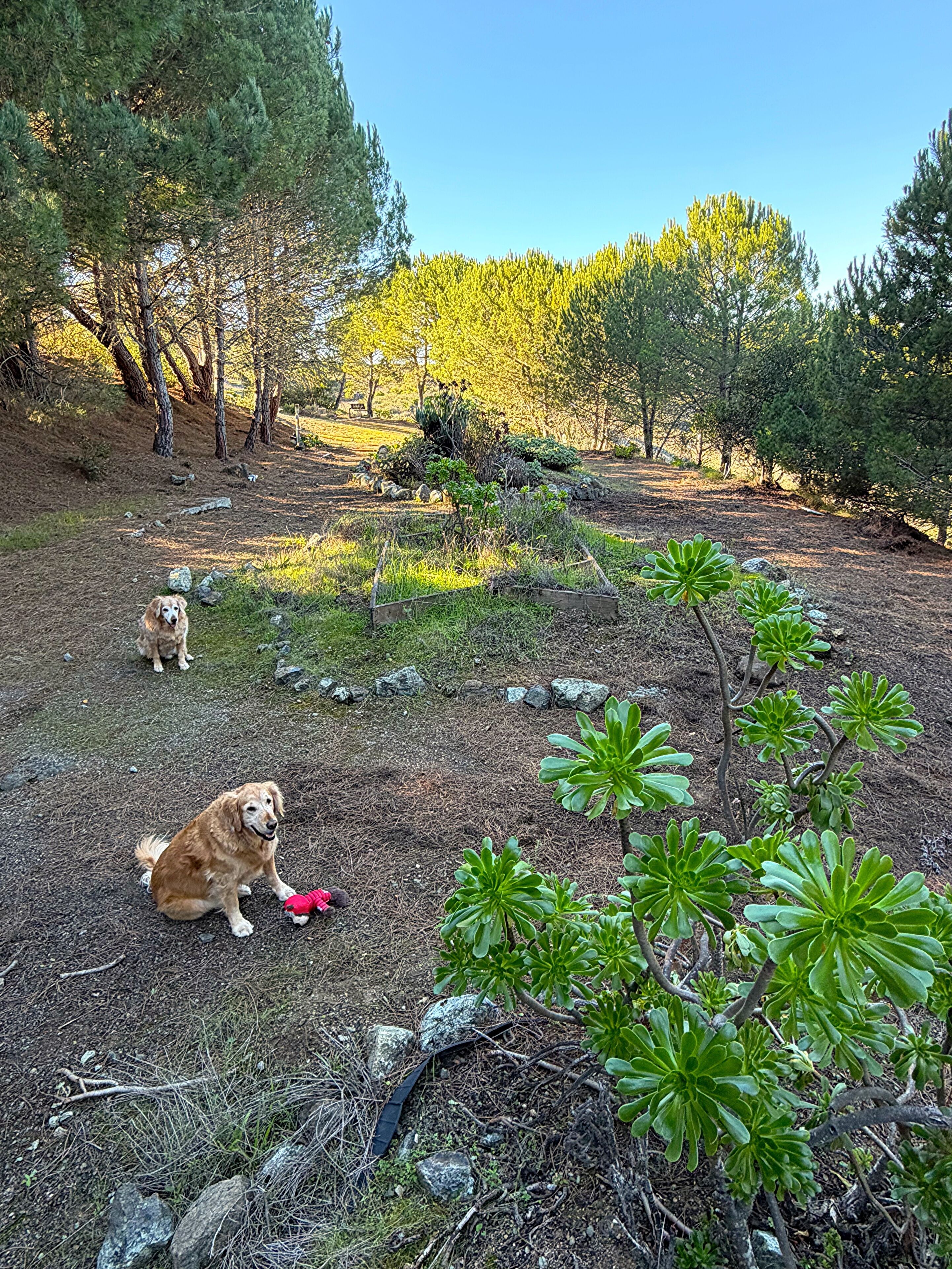 Áreas de la propiedad