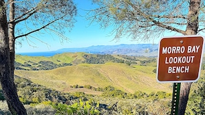 Un banco con dos perros sentados, un letrero que dice "Morro Bay Lookout Bench" y una vista panorámica de colinas y océano al fondo.