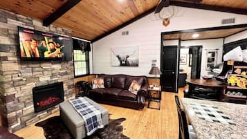 TV connectée, cheminée, lecteur de DVD, livres