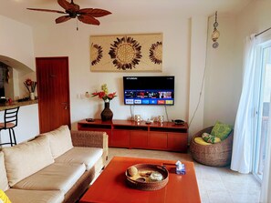 Smart TV, Netflix, DVD player, livros