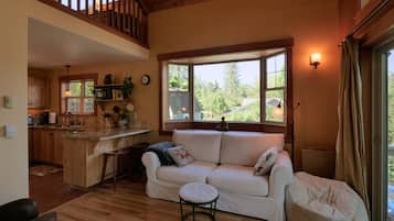 TV, fireplace, DVD player, books