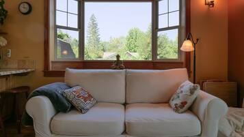 Televisión, chimenea, reproductor de DVD, libros