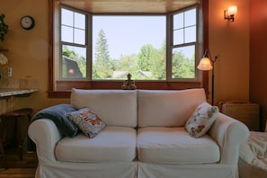 TV, fireplace, DVD player, books