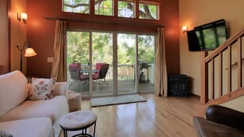 TV, fireplace, DVD player, books