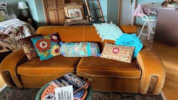 Smart TV, fireplace, books, video library