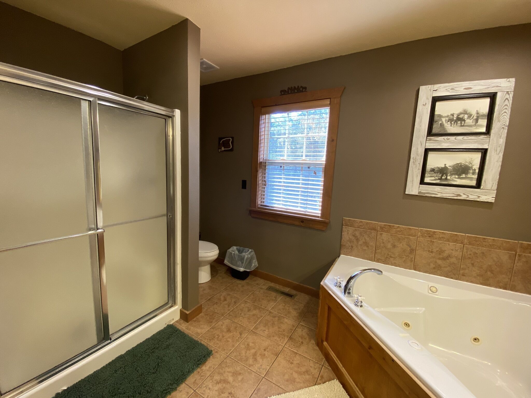 A bathroom with a walk-in shower, toilet, and bathtub.