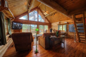 TV, fireplace, books