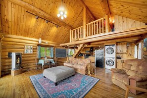 TV, fireplace, books