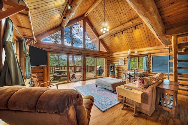 تلفزيون، مدفأة، كُتُب