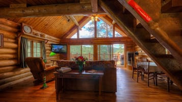 TV, fireplace, books